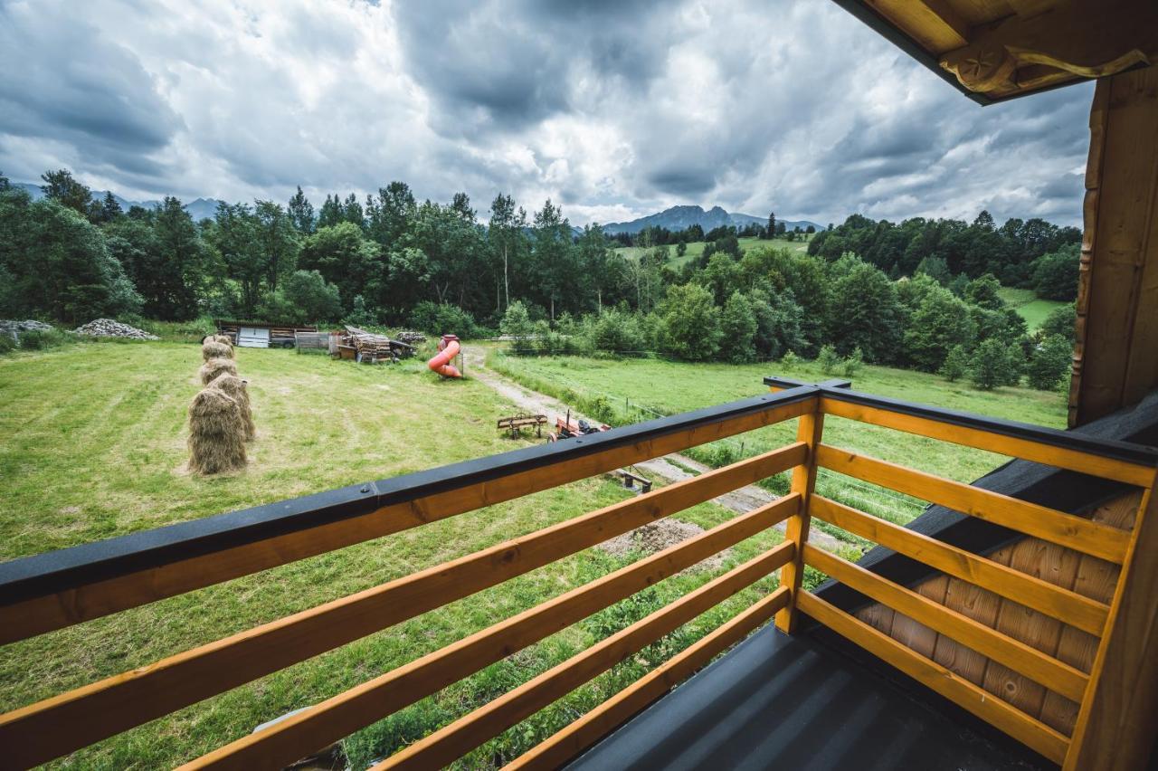 Domek Regionalny Dan Pio 2 Zakopane Exterior photo